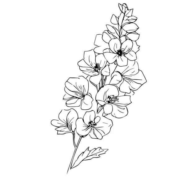 Векторный Эскиз Красивого Цветка Рисунок Одной Линии Рисунок Очертания Шлейфа — стоковый вектор