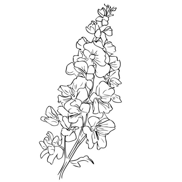 Vecteur Floral Noir Blanc Gravé Illustration Encre Fleurs Dessin Fleur — Image vectorielle