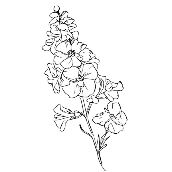 Διάνυσμα Floral Μαύρο Και Άσπρο Χαραγμένο Μελάνι Απεικόνιση Των Λουλουδιών — Διανυσματικό Αρχείο