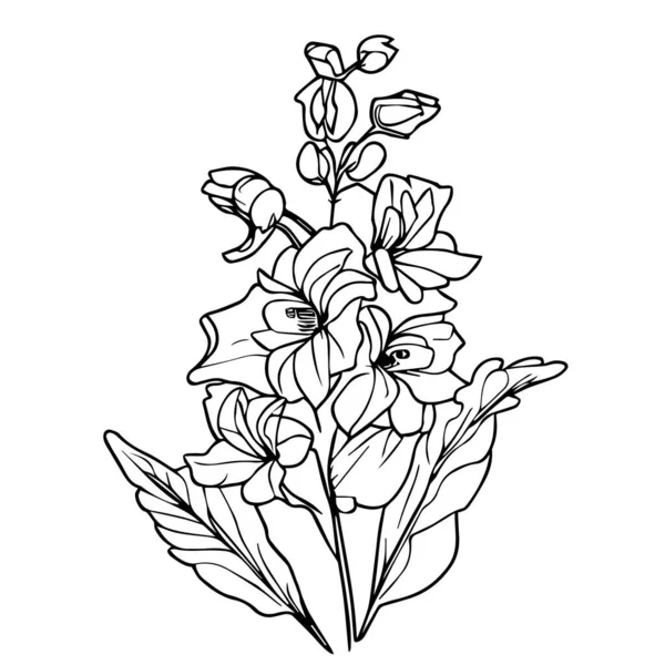 Vektor Vázlat Virágok Virágcsokor Világoskék Delfinium Virág Csokor Elrendezése Larkspur — Stock Vector
