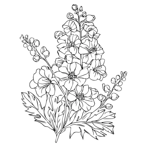 Vector Drawn Sketch Flowers Floral Design Elements Floral Elements Printable — Διανυσματικό Αρχείο