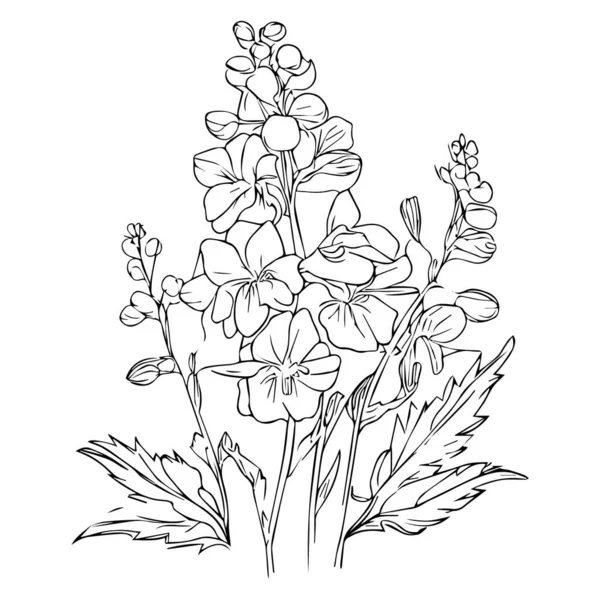 Bela Flor Preta Branca Desenhada Mão Com Folhas Isolado Fundo —  Vetores de Stock