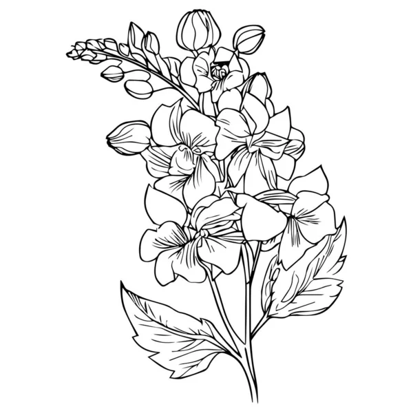 Schöne Handgezeichnete Schwarz Weiße Blume Mit Blättern Isoliert Auf Weißem — Stockvektor