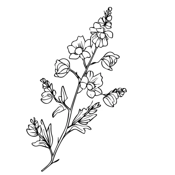 Красива Чорно Біла Квітка Листям Ізольовані Білому Фоні — стоковий вектор