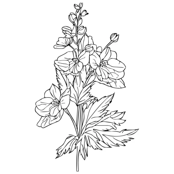 Bela Flor Preta Branca Desenhada Mão Com Folhas Isolado Fundo — Vetor de Stock