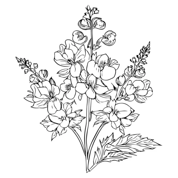 Mooie Met Hand Getekende Zwart Witte Bloem Met Bladeren Geïsoleerd — Stockvector