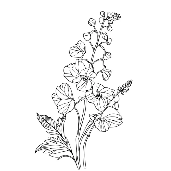 Krásný Ručně Kreslený Černý Bílý Květ Listy Izolované Bílém Pozadí — Stockový vektor