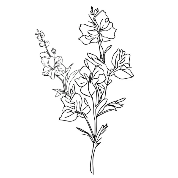 Gyönyörű Kézzel Rajzolt Fekete Fehér Virág Levelekkel Elszigetelt Fehér Háttér — Stock Vector
