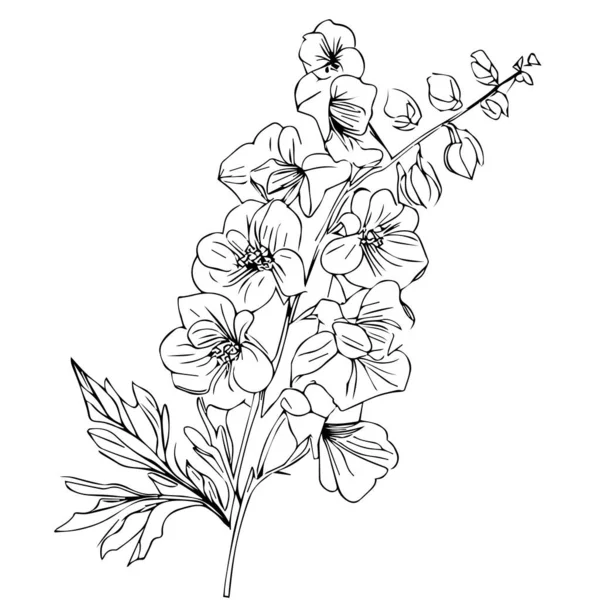 Schöne Handgezeichnete Schwarz Weiße Blume Mit Blättern Isoliert Auf Weißem — Stockvektor