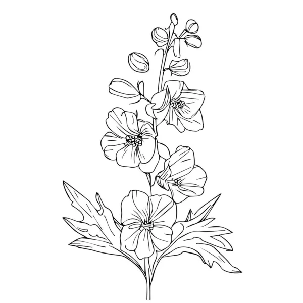 Bel Fiore Disegnato Mano Bianco Nero Con Foglie Isolato Sfondo — Vettoriale Stock