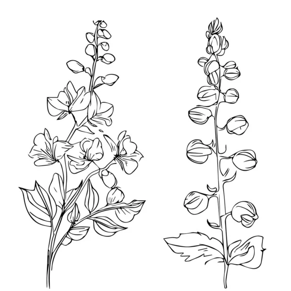 Όμορφο Χειροποίητο Ασπρόμαυρο Λουλούδι Φύλλα Απομονωμένο Λευκό Φόντο — Διανυσματικό Αρχείο