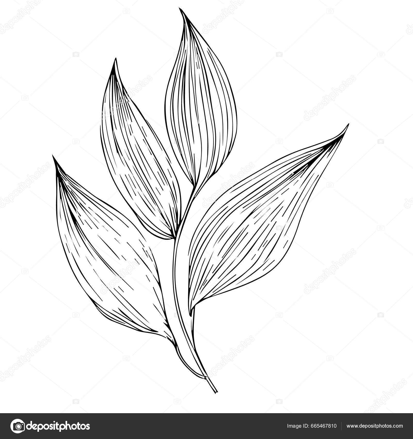 Um simples desenho preto e branco de uma flor.