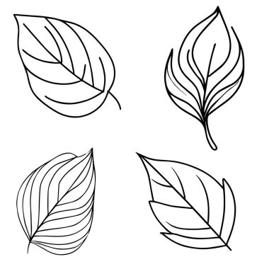 Siyah el yapımı yapraklar. Karalama vektörü illüstrasyonu, botanik vektör resimleme sayfası, basitlik, süsleme, monokrom, vektör sanatı, dalın botanik yaprağıyla ana hatları, botanik yaprakları ve tomurcuklar., 
