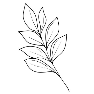 El yapımı yaprak vektör ikonu, beyaz üzerine izole edilmiş güzel tek renkli siyah beyaz botanik elementler. El yapımı yaprak seti ve botanik vektör sanatı. Minimalist yaprak çizimi, basit botanik taslak. Yaban çiçeği eskizi.