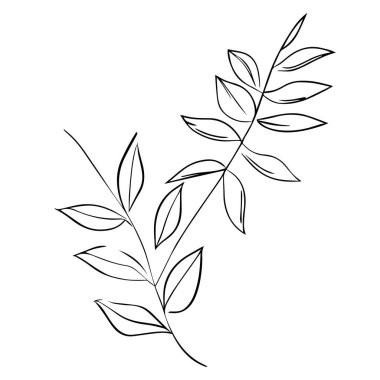 şube ile simge vektör çizim tasarım yapraklar