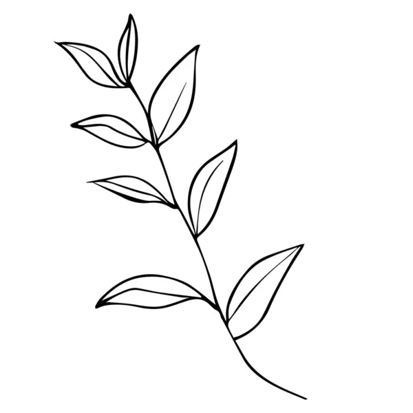 Yapraklı Vektör Dalı Elle Çizilmiş Çiçek Çizimi Siyah Mürekkep Botanik — Stok Vektör