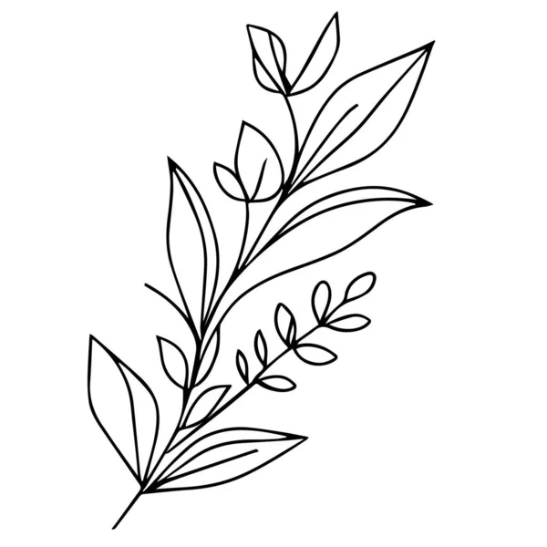 枝や葉の自然アイコン白に隔離された美しいモノクロームの黒と白の植物の要素アート 手描きの葉セットと 植物ベクトルアート ミニマルな葉のドローイング シンプルな植物の輪郭 野花スケッチアート — ストックベクタ