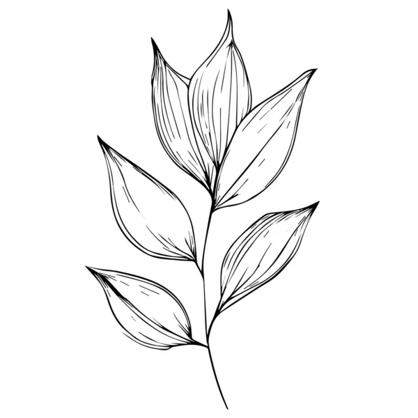 Vector Botanical Illustration Leaves Wildflowers Drawings Wildflowers Set Doodle Art — Stock Vector
