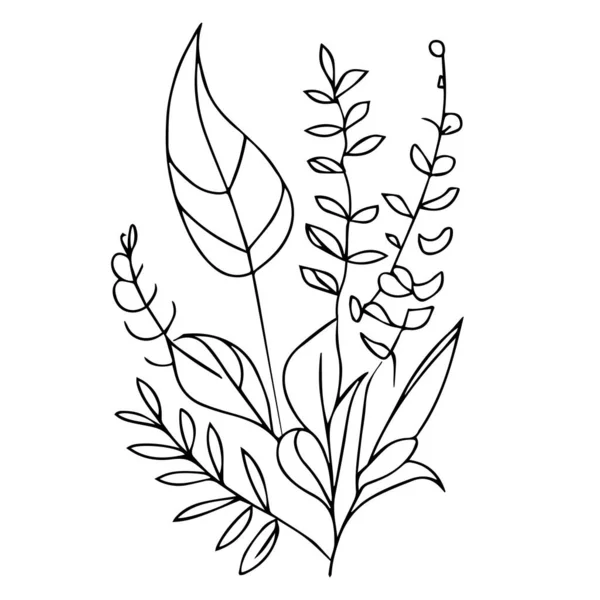 葉植物の性質は孤立し 葉の着色ページや本 単色ベクトルのスケッチ 植物の葉のスケッチ 植物ベクトル 自然葉のコレクションを持つ植物の背景 イラスト鉛筆アート植物 植物の葉の図面 — ストックベクタ