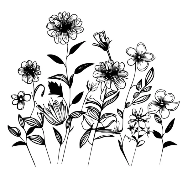 Černé Siluety Trávy Květin Bylin Roztomilé Vektorové Ilustrace Květin Ručně — Stockový vektor