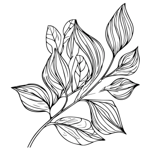 Yaprağın Ana Hatları Boyama Vektör Siyah Beyaz Yaprak Çizimi Sanat — Stok Vektör