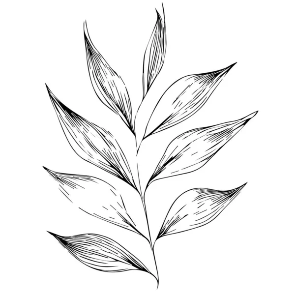 Yapımı Yapraklar Tasarım Için Siyah Beyaz Vektör Çizimi Logo Için — Stok Vektör