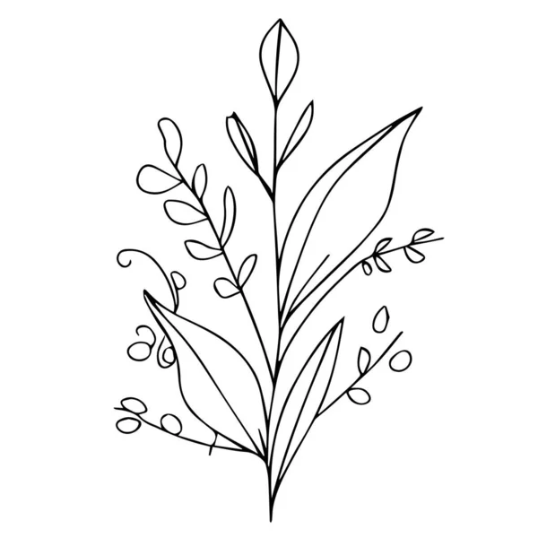 葉と葉の孤立したアイコンベクトルイラストデザインのブランチ 植物要素 植物線画 ヴィンテージ植物着色ページ 植物要素 植物花イラスト 植物イラスト黒と白 — ストックベクタ