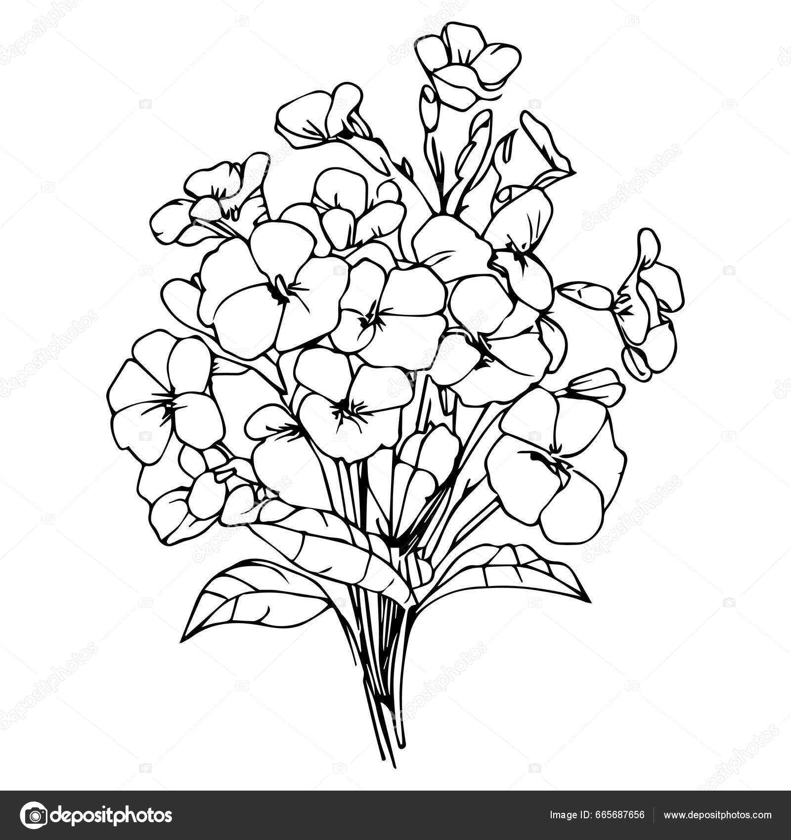 Páginas Coloração Flores Simples Páginas Colorir Para Adultos Desenho Mão  Vetor de ©saminaakter 665687656, image size:1600x1700