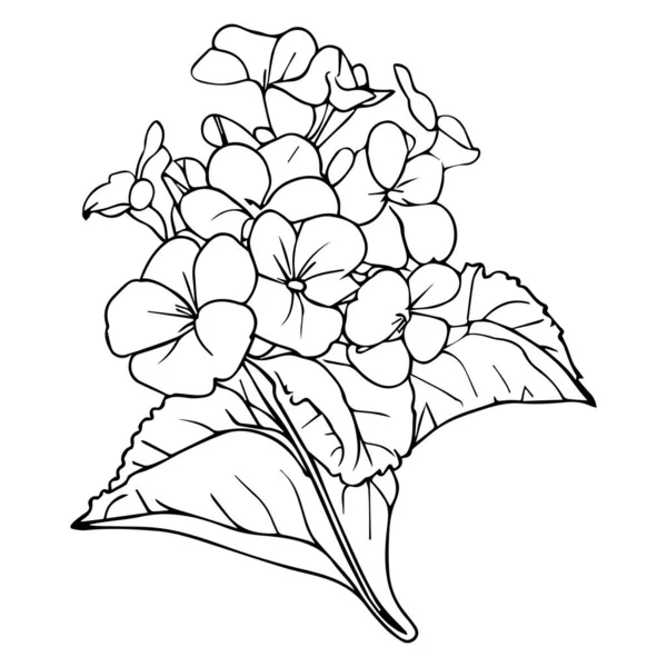 Χαριτωμένο Παιδιά Χρωματίζοντας Σελίδες Εύκολο Σχέδιο Primrose Λουλούδι Primrose Μαύρο — Διανυσματικό Αρχείο