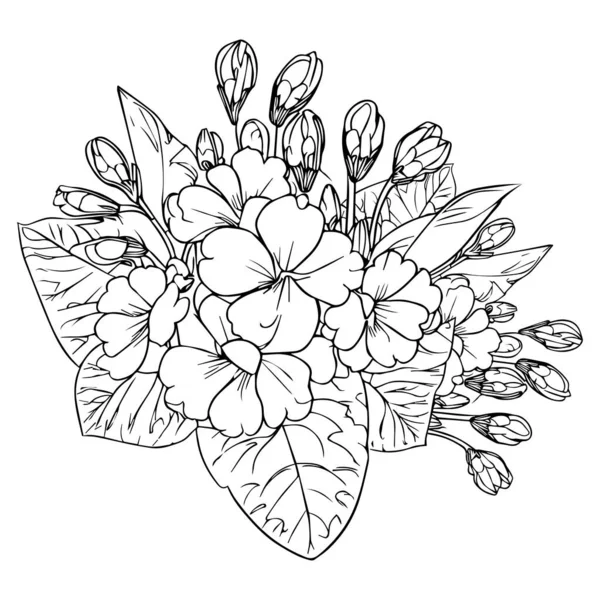 Sada Dekorativní Stylizované Primula Květiny Izolované Bílém Pozadí Vysoce Detailní — Stockový vektor