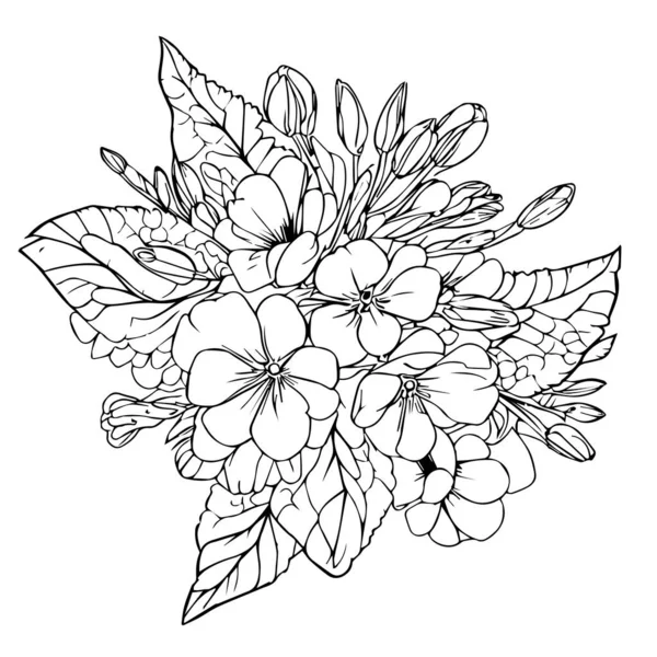 Primrose Omalovánky Ručně Kreslené Botanické Jarní Prvky Kytice Květu Primrose — Stockový vektor