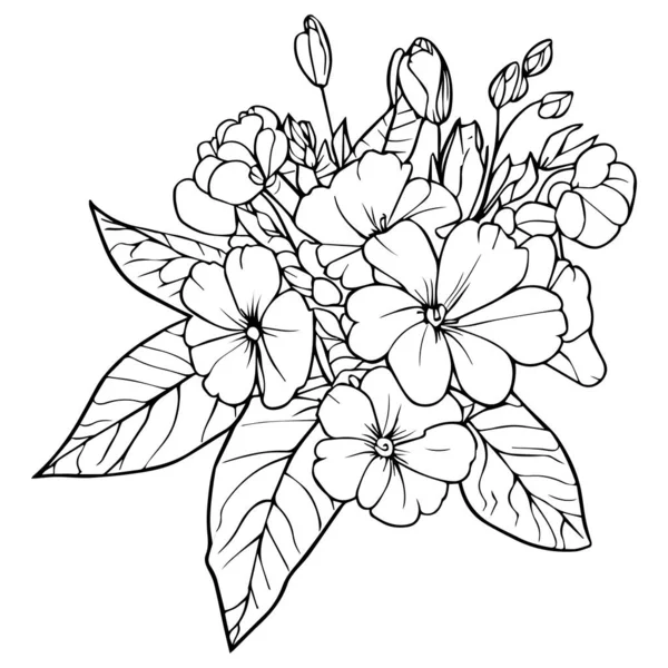 Lindas Páginas Para Colorear Flores Dibujo Onagra Dibujo Flor Primula — Vector de stock