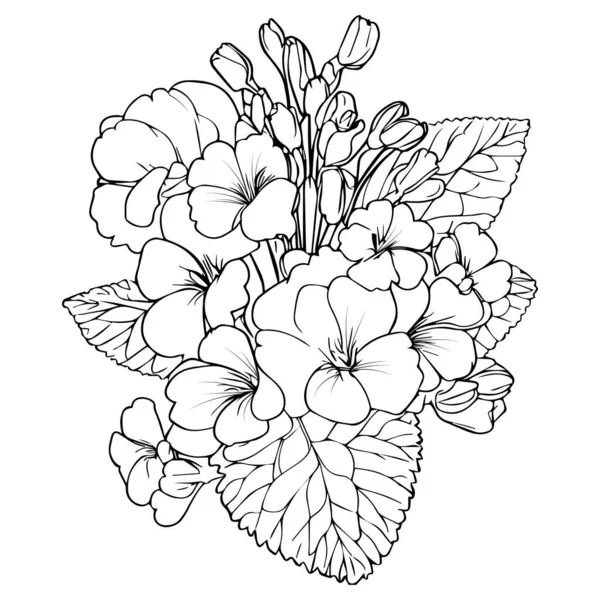 Primevère Illustration Vectorielle Beau Bouquet Fleurs Primula Pages Colorier Dessinées — Image vectorielle