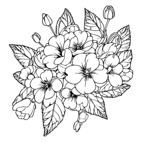 Pierwiosnek Odizolowany Ręcznie Rysowany Element Kwiatowy Wektor Ilustracja Bukiet Primula — Wektor stockowy