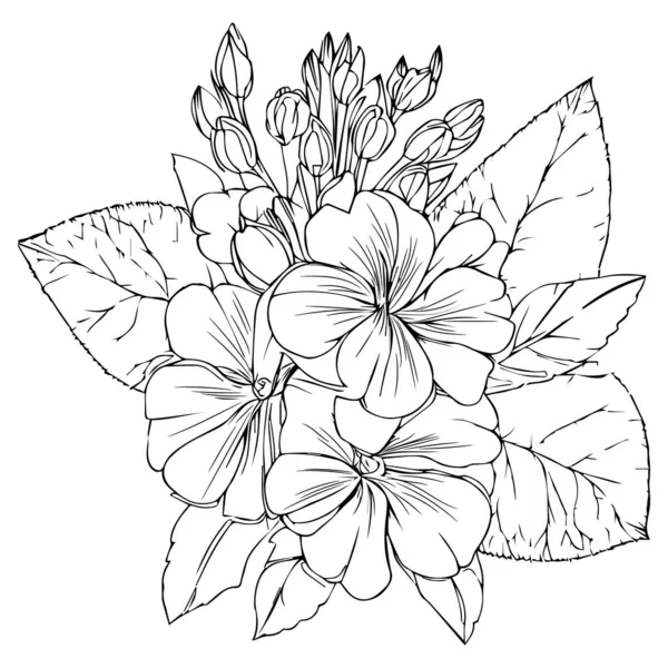 Primrose Tetoválás Fekete Fehér Vektor Vázlat Illusztráció Virágdísz Csokor Primula — Stock Vector
