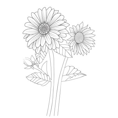 Bahçede güzel ve beyaz çiçekler, çizgi halinde sanat ayçiçeği çizimi, ayçiçeği çizimi, minimalist ayçiçeği çizimi, estetik ayçiçeği çizimi, minimalist bir çizgi, ayçiçeği buketi