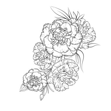 hand drawn peony flowers. vector illustration clipart