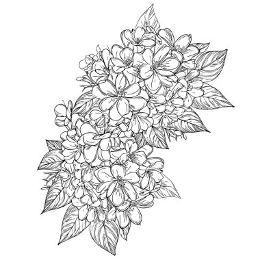 Primrose vector art, monochrome floral pattern. ink vector illustration hand drawn pencil sketch, a branch of botanical collection simplicity, artistic, coloring book beautiful flower, sketch for your design, purple primrose drawing,