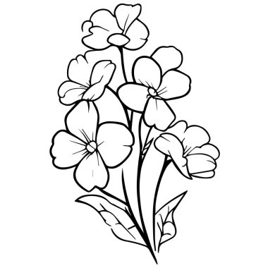 Gerçekçi çiçek boyama sayfaları, çuha çiçeği dövmesi çizimi, primula çizimi, çiçek kümesi çizimi, sevimli çiçek renklendirme sayfaları, illüstrasyon vektör sanatı, siyah çuha çiçeği dövmesi stres önleyici renk sayfası güzel ve çiçekli siyah beyaz