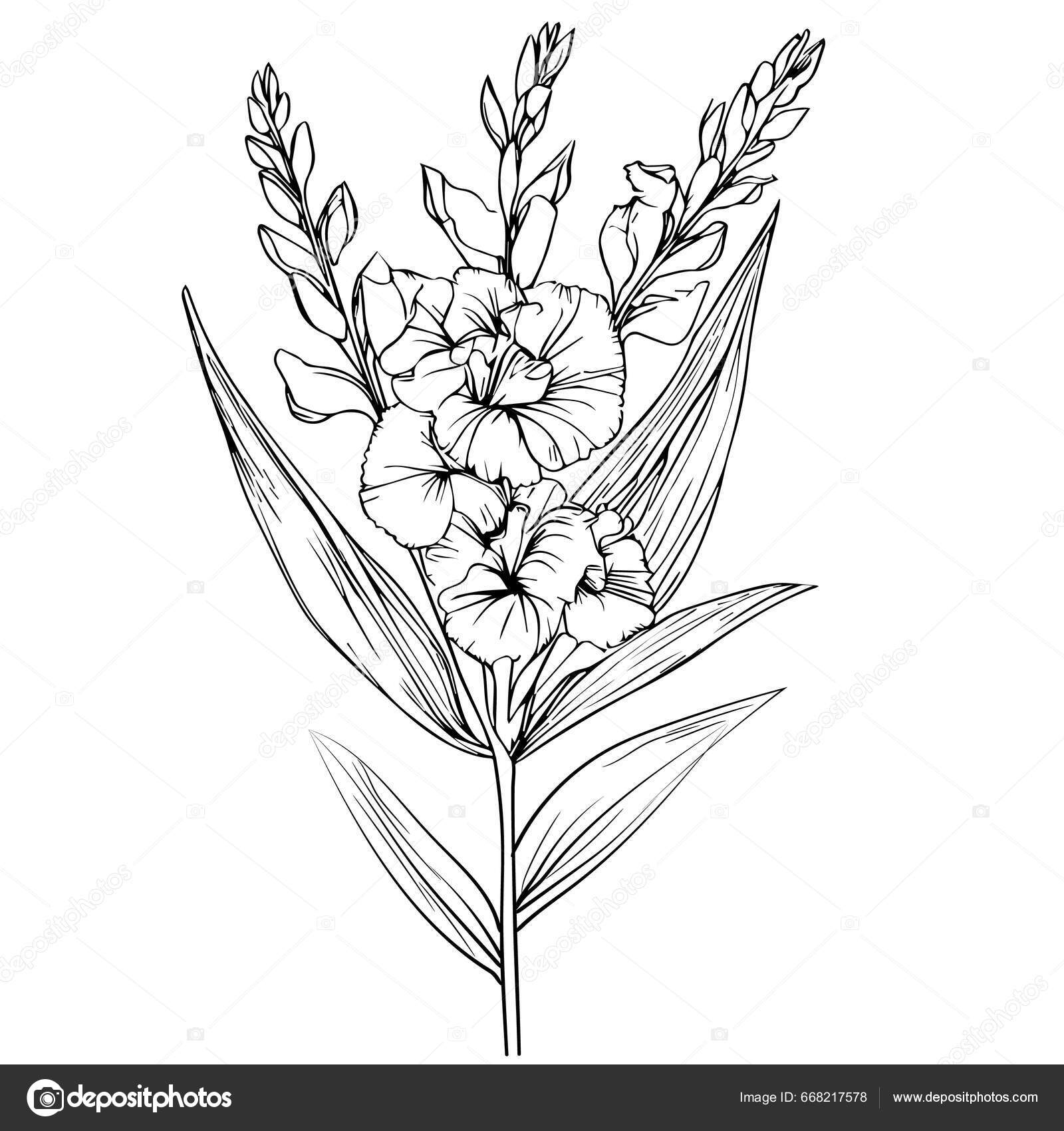 Gladiolus flower tattoo. Meaning of strength and serenity. | Gladiolus  flower tattoos, Gladiolus tattoo, Flower wrist tattoos
