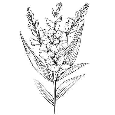 Gladiolus Flower Print, tek Gladiolus çiçeği çizimi, gladyatör dövmesi çizimi, gladiolus dövmesi siyah beyaz gladiolus çiçek vektörü clipart, gladiolus çiçek duvarı sanatı, gladiolus doğum çiçeği çizimi