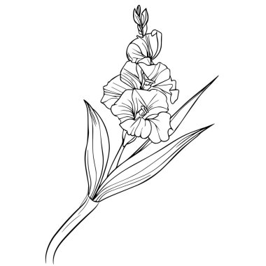 Gladiolus sanat ana hatları çizimi, Gladiolus çizimi, kalem çizimi Printable Duvar Sanatı, Gladiolus Çiçeği Yazısı, tek Gladiolus çiçek çizimi, çizim gladiolus çiçeği siyah gladiolus dövmesi