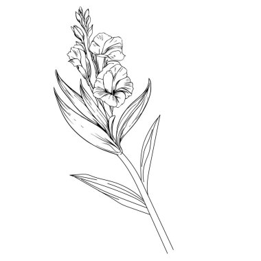 Minimalist gladiolus çiçek dövmesi, bilek gladiolus dövmesi basit, kadın gladiolus dövmesi, gladiolus çiçek çizim taslağı, gladiolus çizim taslağı, gladiolus dövme boyama sayfaları