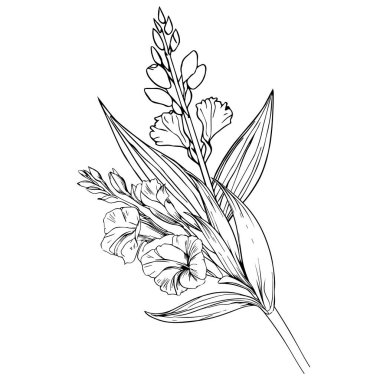 Gladiolus Ağustos doğum ayı çiçeği, gladiolus doğum çiçeği çizimi, ana hatları gladiolus çizimi, gladyatör çiçeği çizimi, siyah gladiolus dövmesi, siyah küçük gladiolus dövmesi.