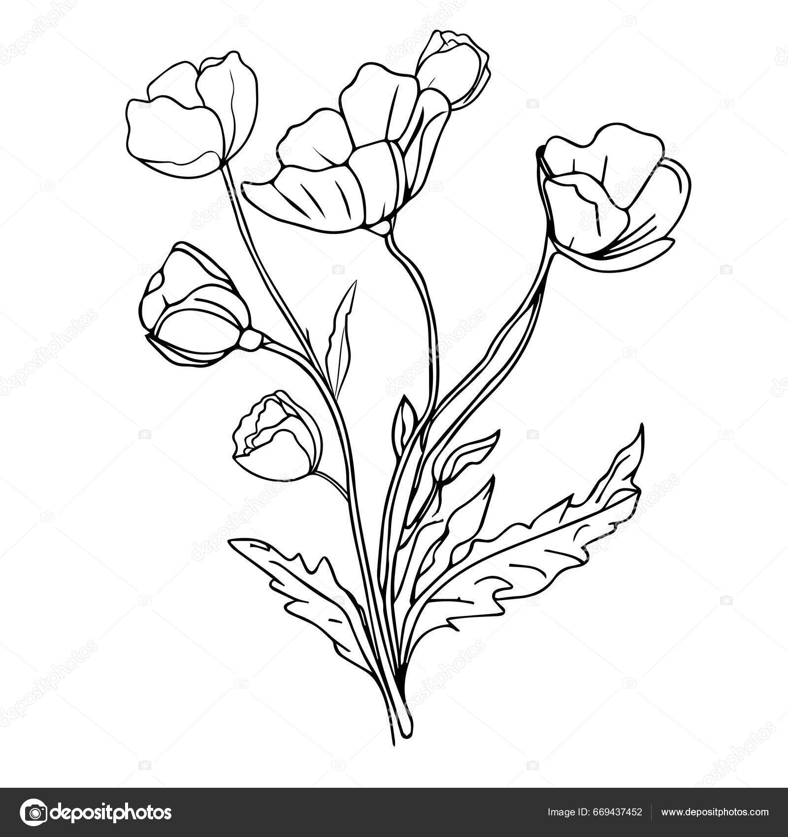 Realistic flower coloring pages, Illustration pansy flower drawing, blossom flower  drawing. flower coloring page for adults and children, sketch art, pencil drawing  flowers, flower cluster drawing, 21192894 Vector Art at Vecteezy