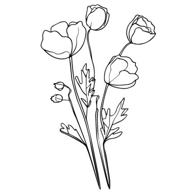 Çiçek düzenleme hattı sanat koleksiyonu, Gelişmiş Çiçek Renk Sayfası, Güzel gelincik çiçek duvarı sanatı, gelincik çiçeği vektörü, güzel çiçek renklendirme sayfaları, gelincik çiçeği renklendirme sayfaları, çizgi çizim laleleri, çizgi çizim laleleri, tek çizgi halinde gelincik çiçekleri.