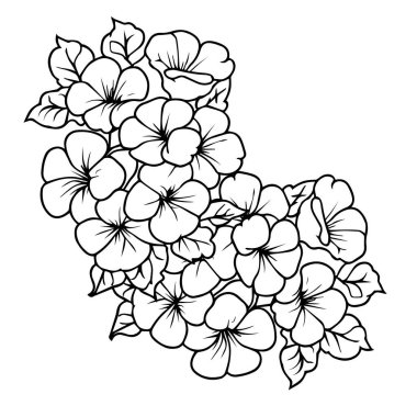 Primrose vektör sanatı, tek renkli çiçek deseni. mürekkep vektörü çizimi el çizimi kalem çizimi, botanik koleksiyonu basitliği, sanatsal, çocuklar ve yetişkinler için boyama kitabı, fantezi primrose duvar dekorasyonu vektör çizimi