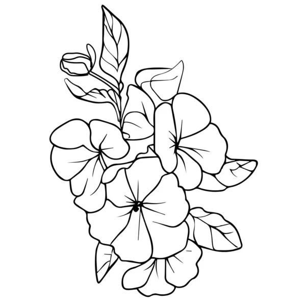 プライムローズは 手描きの花の要素を隔離しました プライムローズのベクターイラストブーケ 美しい夕方の美しいプルーラヴィオレット プリムラフラワータトゥー 大人のための着色ページ 植物原始絵画の花のベクター図 フローラルパターン — ストックベクタ