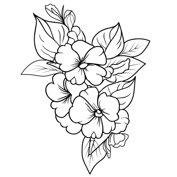 Szczegółowy Kwiat Kolorowanki Primula Doodle Sztuki Wektor Ilustracji Projekt Kwiatów — Wektor stockowy
