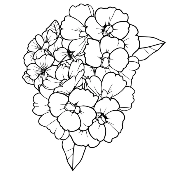 招待カード 簡単な花の着色ページ 大人のための着色ページ 手描きのプリムラフラワースケッチアート 花の花のラインアートベクターのイラスト 印刷のカードの花の庭のベクター — ストックベクタ
